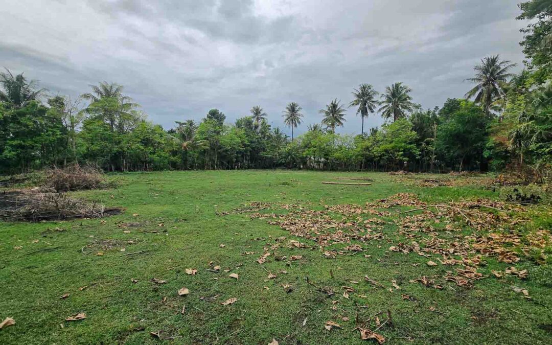 Open grassy field in Kawangu, East Sumba, surrounded by tropical trees, future site of Fair Future Foundation’s Sumba HQ socio-medical base.