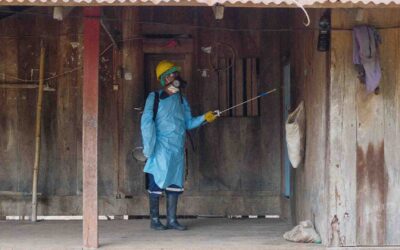 Indoor Residual Spraying for Malaria Control