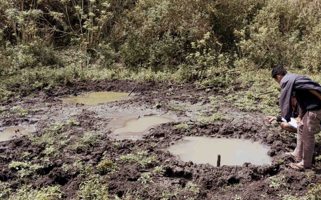 Dengue: il cambiamento climatico in Indonesia | Aumento del rischio di morso dei moscerini