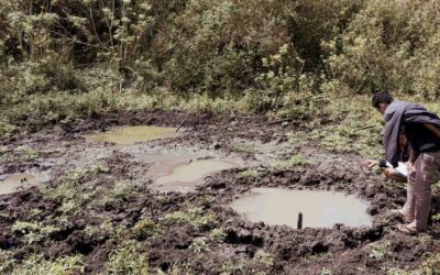 Dengue Climate Change Indonesia | Rising Mosquito Risk