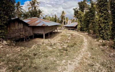 Health Systems Stop Before the Village | Rural Health Access