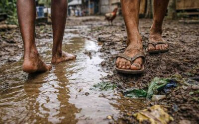 Leptospirosis Rural Indonesia | Water and Infection