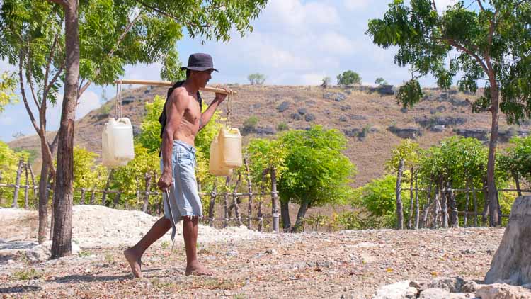 Man walking barefoot in a dry, rural area, carrying two plastic water jugs balanced on a wooden yoke under a hat.