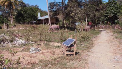 Small solar panel on a wooden chair by a dirt road in Mahu, with buffalo and village houses behind it.