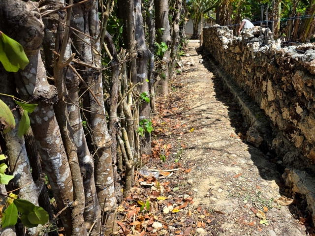 Building Rumah Kambera in Kawangu, East Sumba