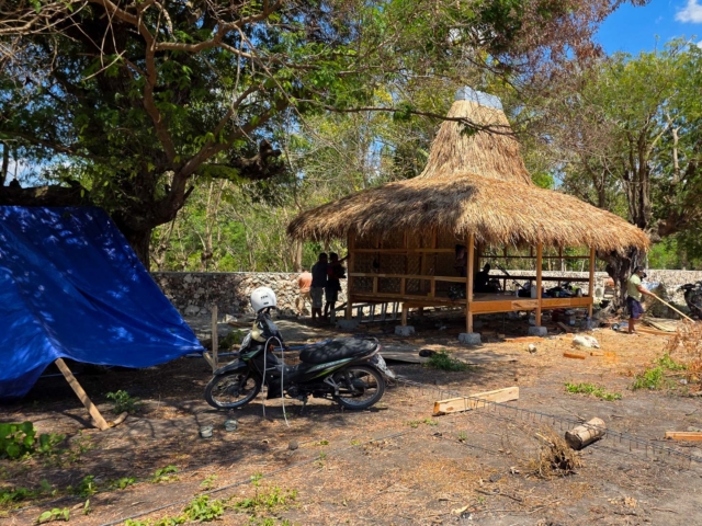 Building Rumah Kambera in Kawangu, East Sumba
