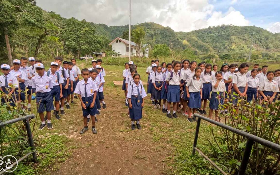 For more than five years pests have been destroying everything here in East Sumba