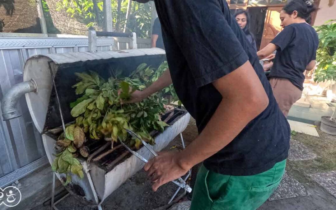 For more than five years pests have been destroying everything here in East Sumba