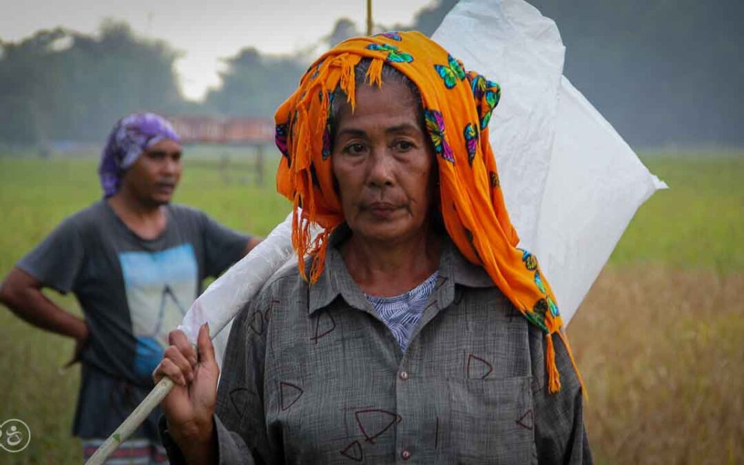 Grasshoppers destroy everything in their path and starve the villages.