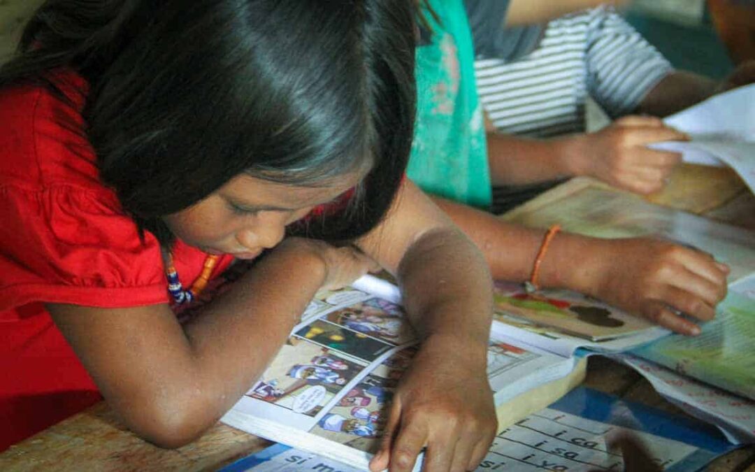 Fair Future implements programs to promote literacy in extremely rural villages