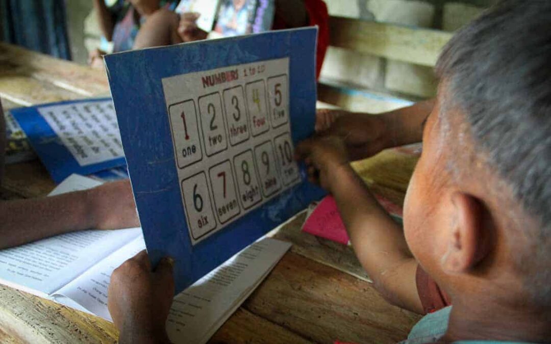 Fair Future implements programs to promote literacy in extremely rural villages