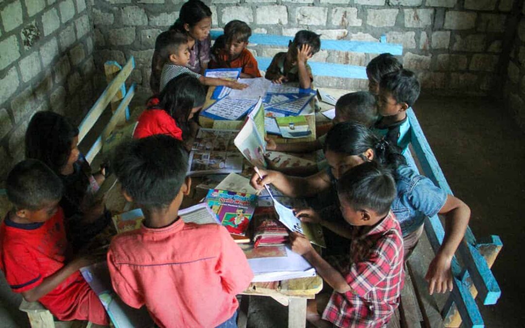 Fair Future implements programs to promote literacy in extremely rural villages