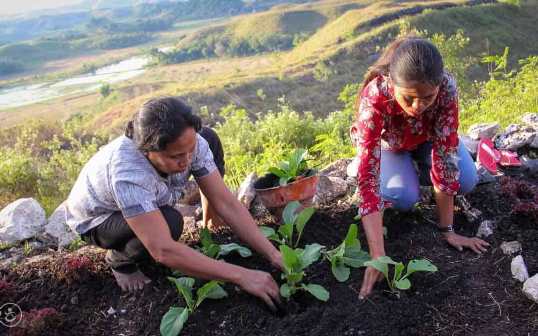 Drinking and eating better thanks to water connections