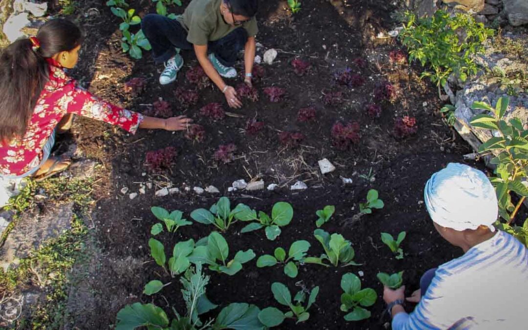 Drinking and eating better thanks to water connections