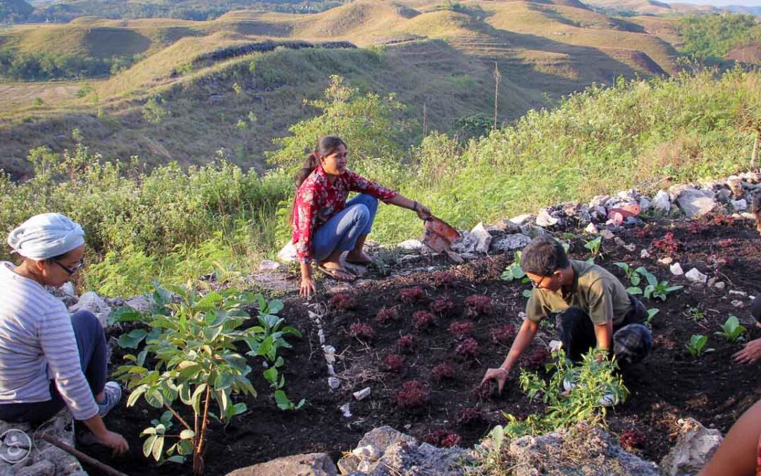 Drinking and eating better thanks to water connections