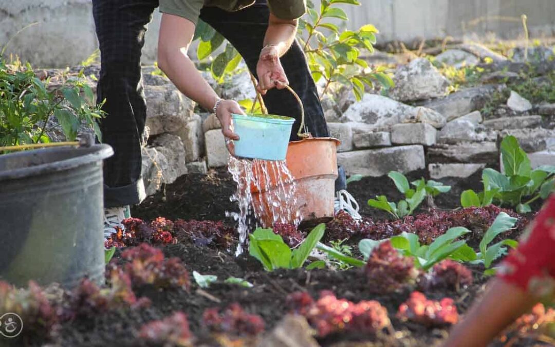 Drinking and eating better thanks to water connections