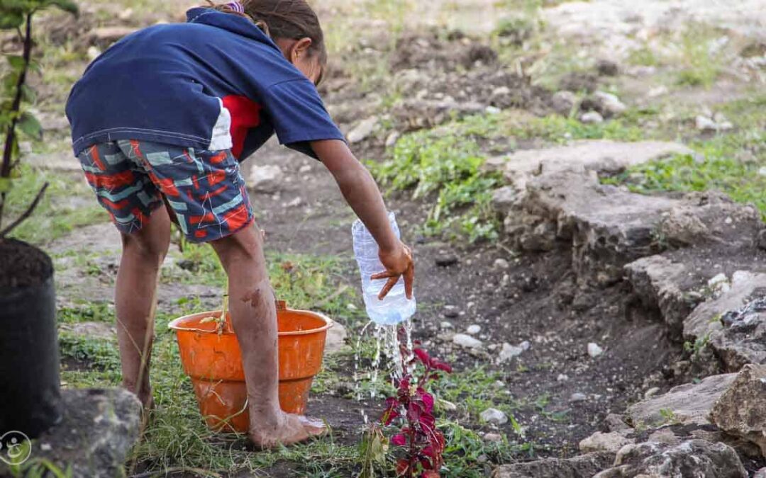 Drinking and eating better thanks to water connections