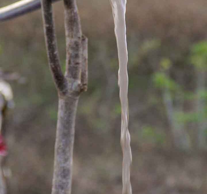 Phase 3 of Laindatang Water Connections Testing New Wells After Months of Drilling