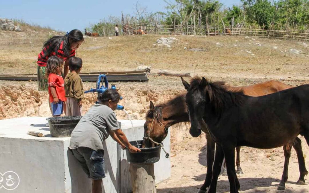 Laindatang WaterConnections – Installation of Dragons pumps on the two new reservoirs