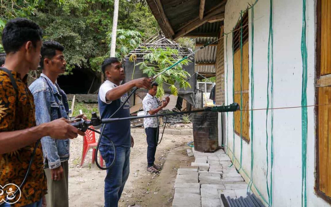 For more than five years pests have been destroying everything here in East Sumba