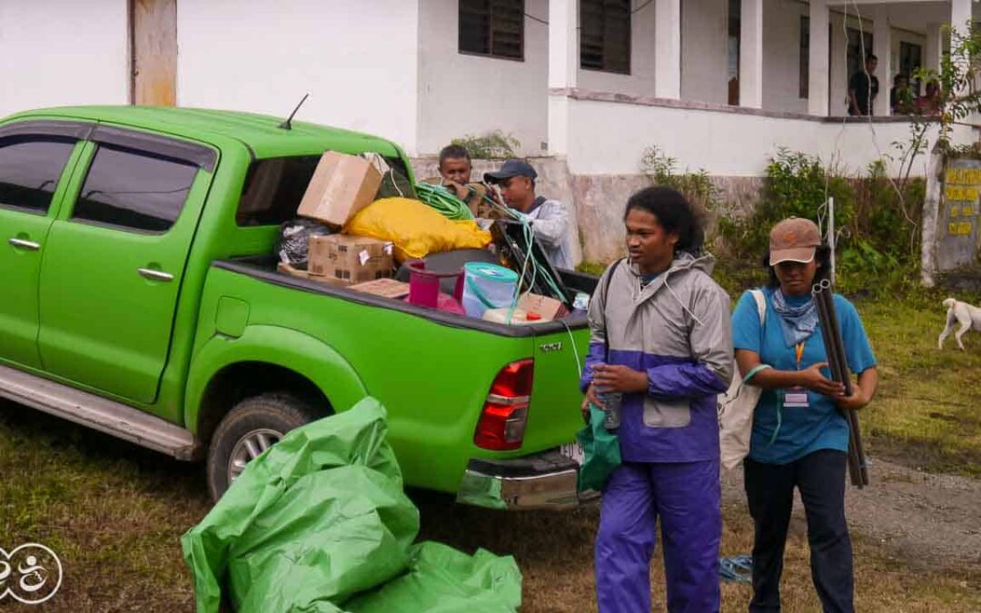 For more than five years pests have been destroying everything here in East Sumba