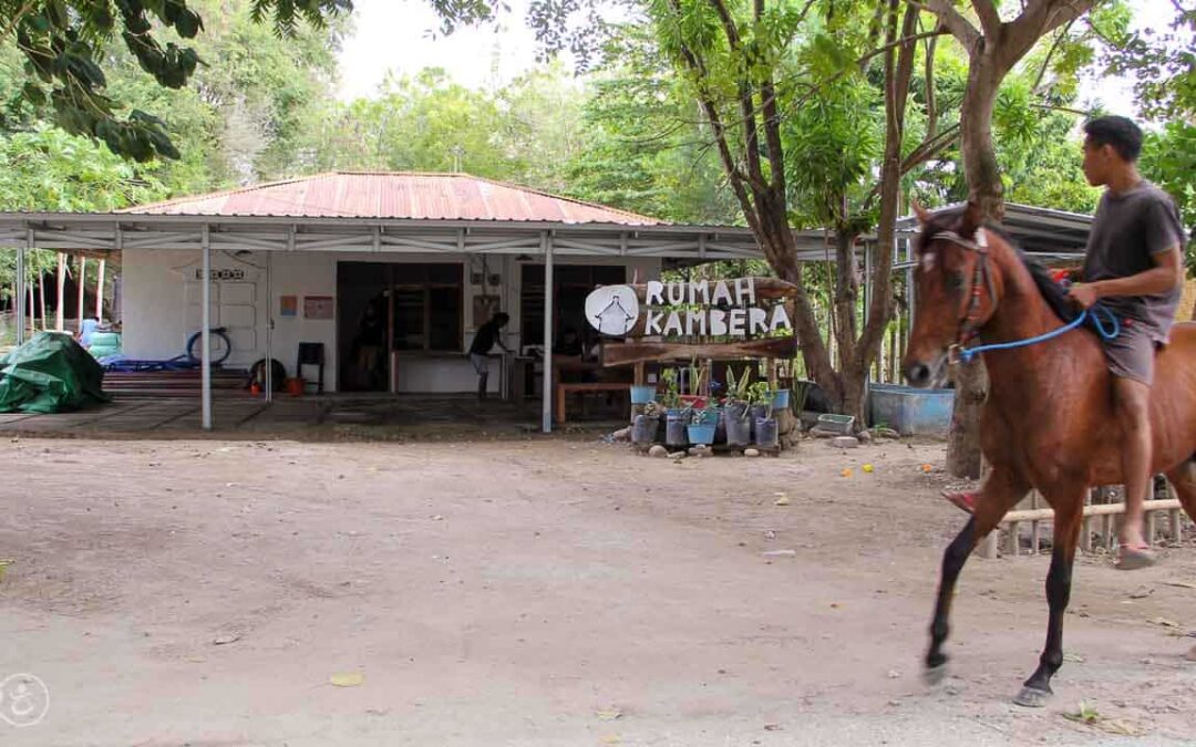 Rumah Kambera – Sumba Timur, NTT, Indonesia.