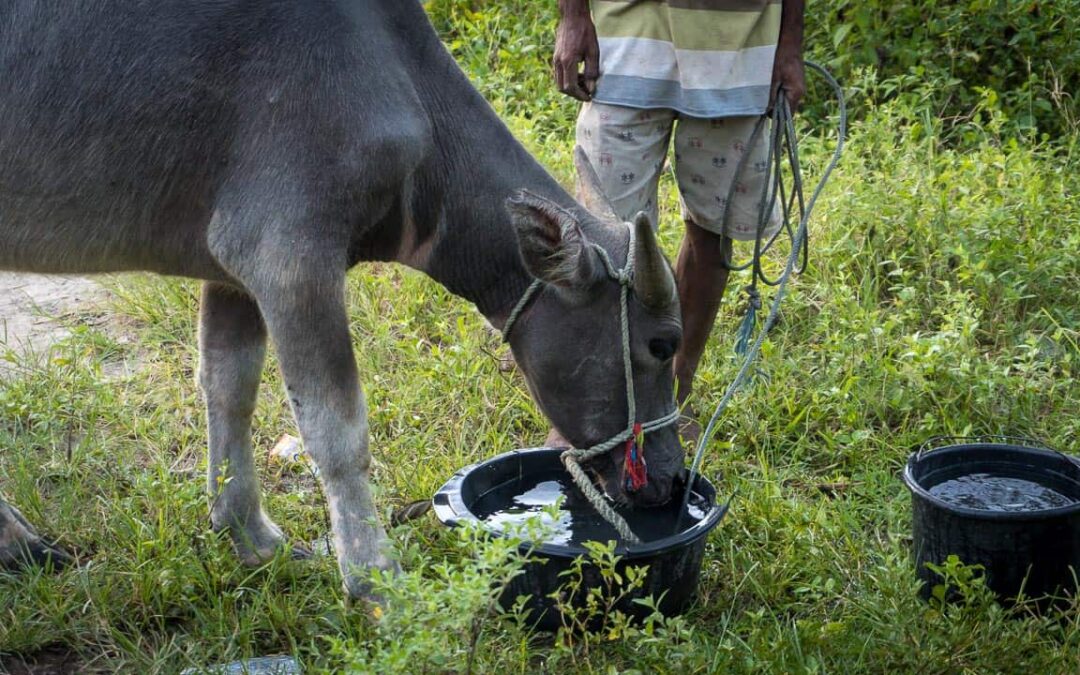 Sumba-bantuan-200521-1280×720-12