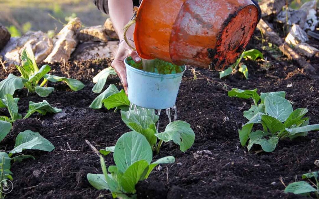 Drinking and eating better thanks to water connections