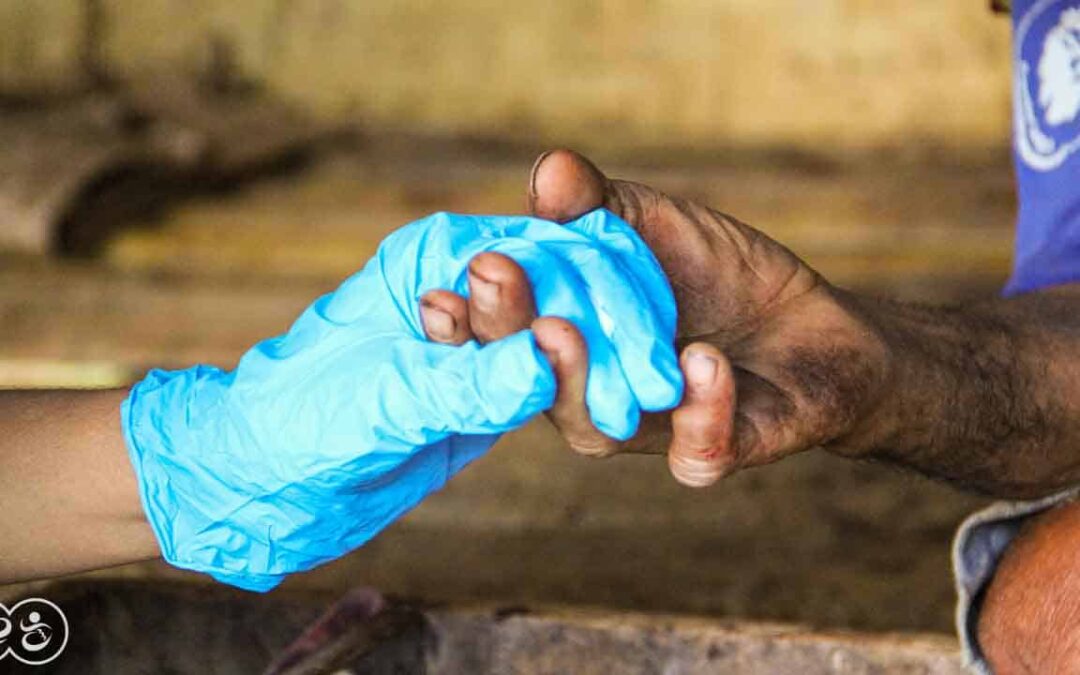 A Drop of Hope Blood Testing for Malaria in East Sumba by Fair Future