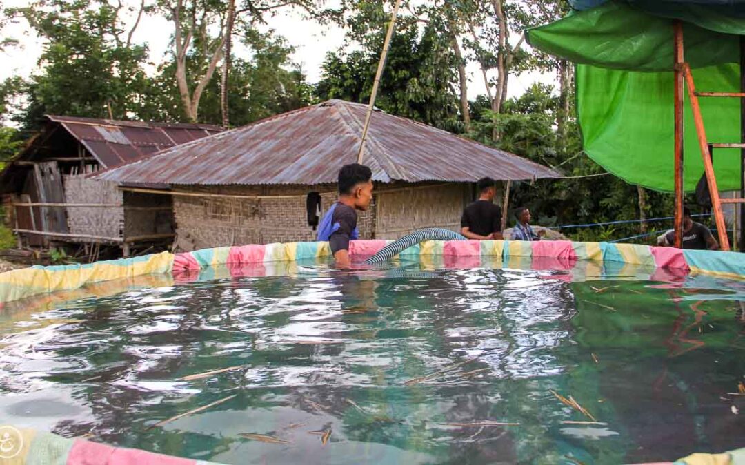 Drilling for Clean Water Changes Lives in East Sumba