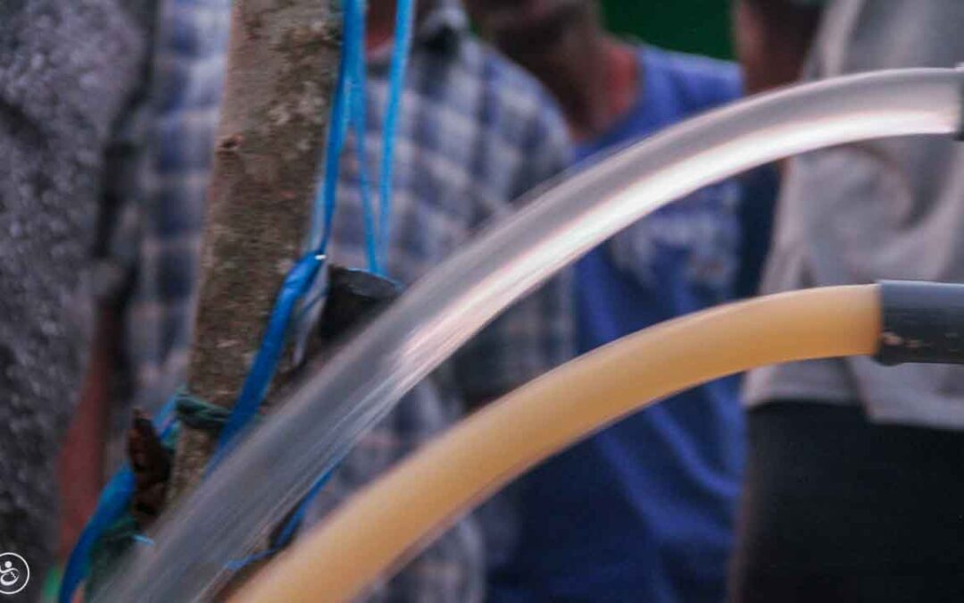 Drilling for Clean Water Changes Lives in East Sumba