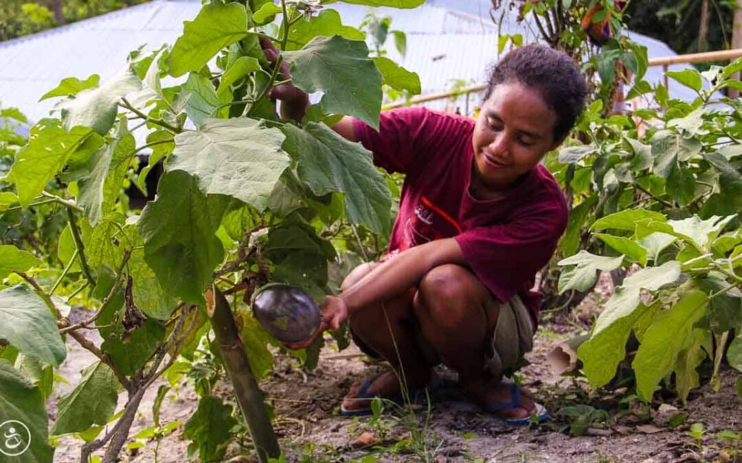 Water Connections Program by Fair Future Foundation