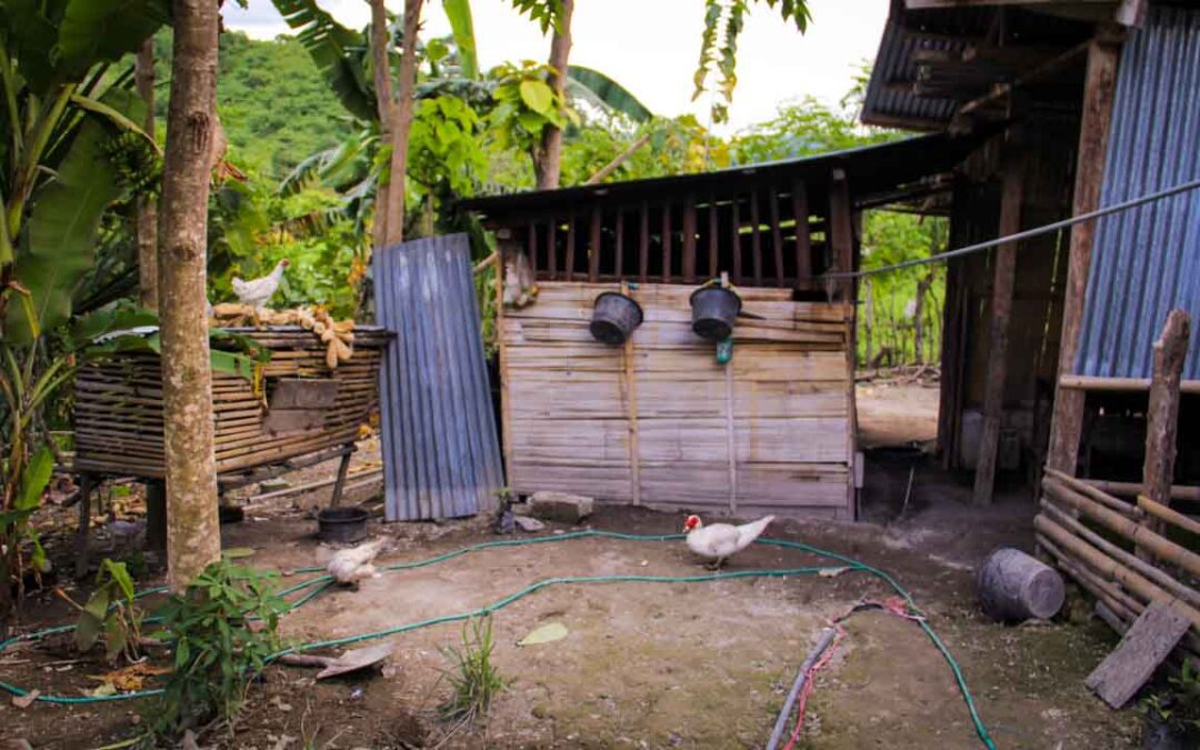 We assess the cases of patients cared for by Kawan Sehat agents in the village of Lapinu Sumba Timur