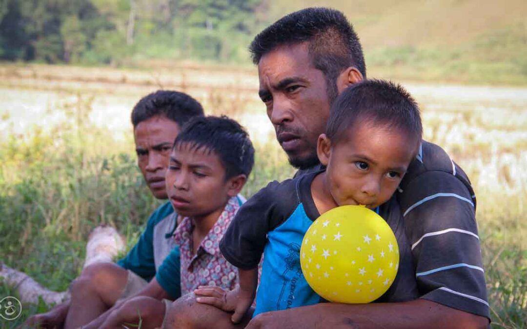 Case studies related to pest attacks in East Sumba – Meeting with the victims of this scourge