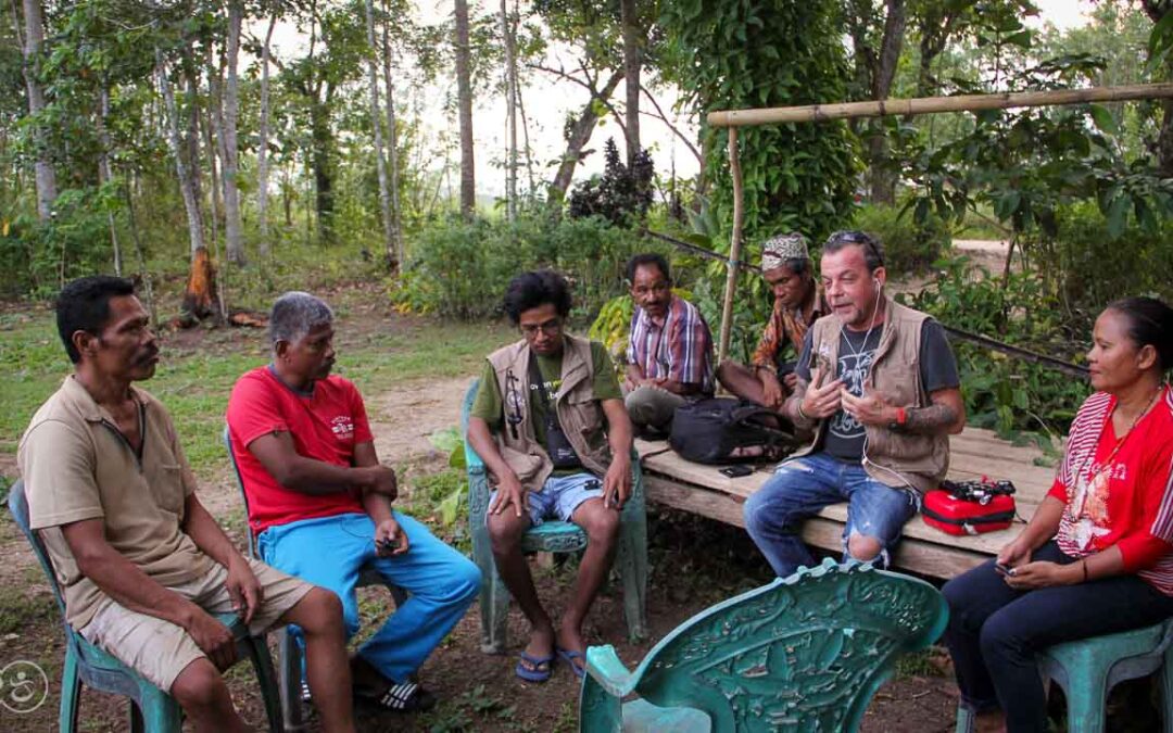 Case studies related to pest attacks in East Sumba – Meeting with the victims of this scourge