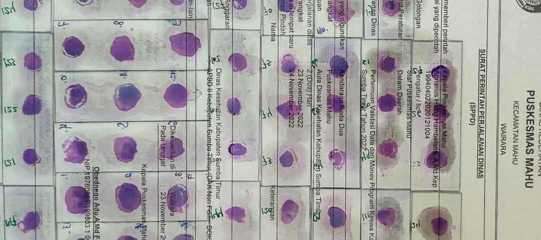 news-malaria-2