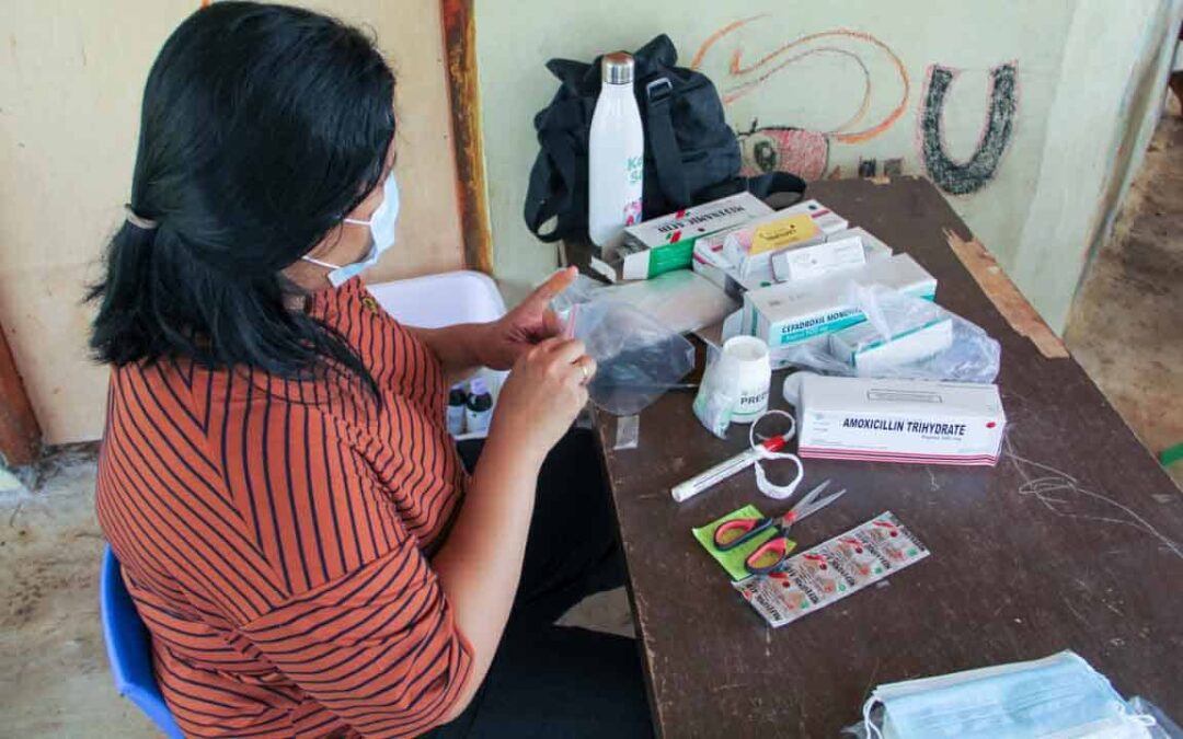 Evaluation of health workers in the primary medical care program in the village of Mbatapuhu