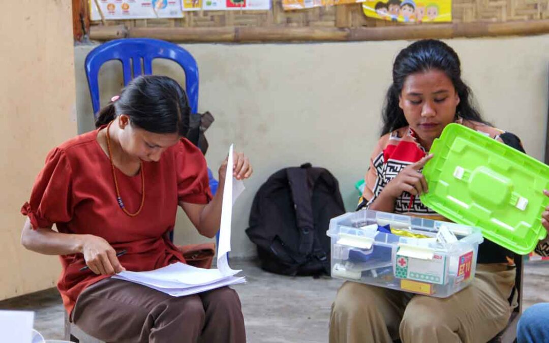 Evaluation of health workers in the primary medical care program in the village of Mbatapuhu