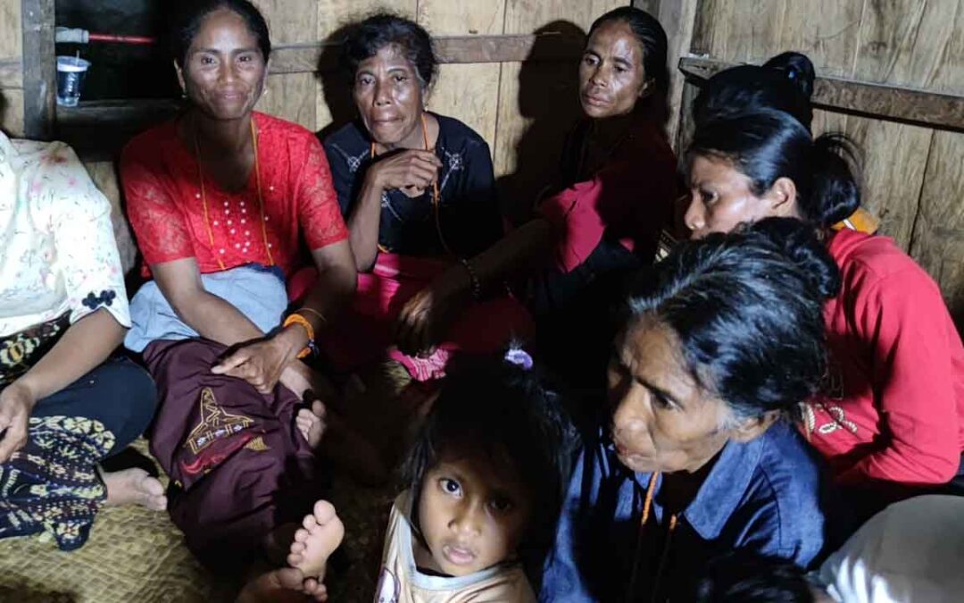 Evaluation of health workers in the primary medical care program in the village of Mbatapuhu