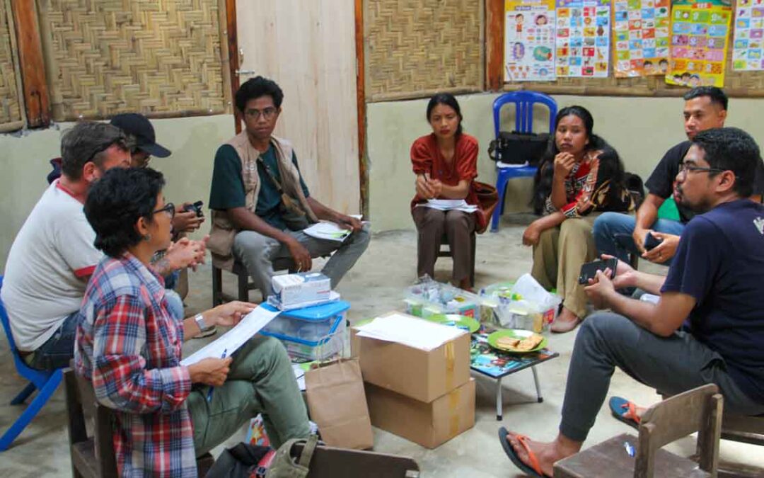 Evaluation of health workers in the primary medical care program in the village of Mbatapuhu