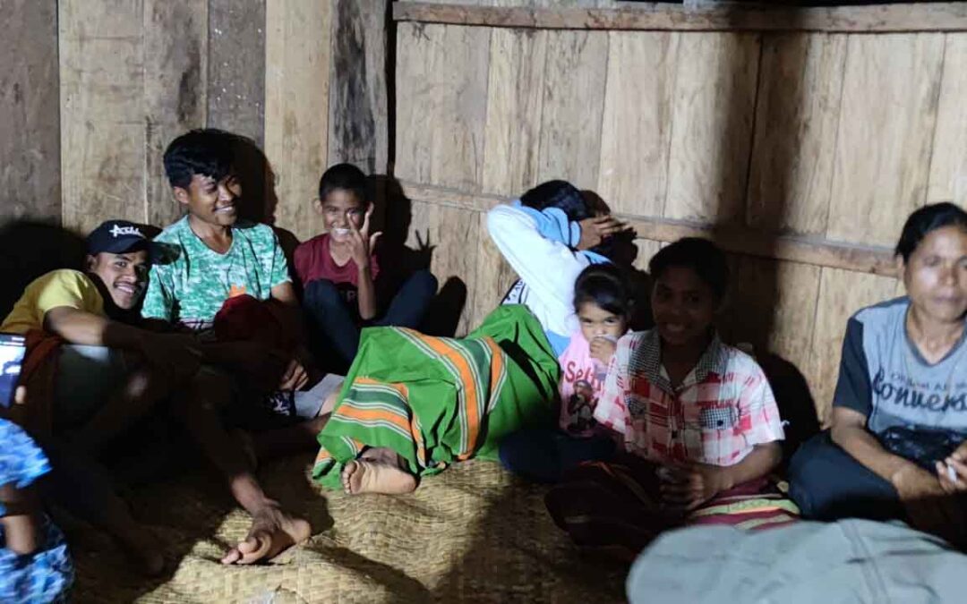 Evaluation of health workers in the primary medical care program in the village of Mbatapuhu