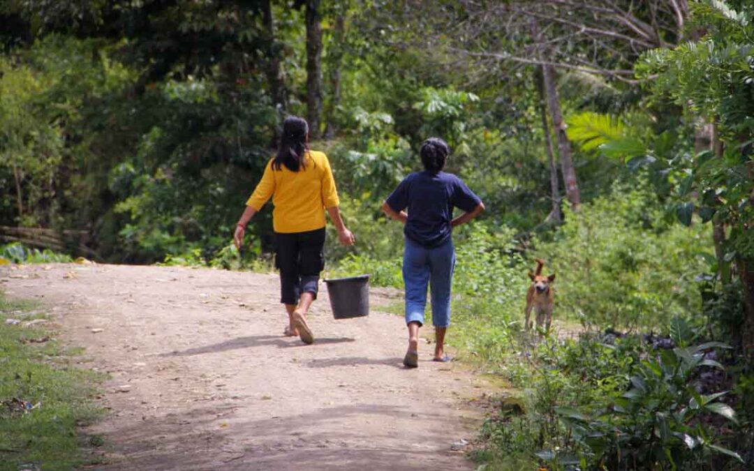 We assess the cases of patients cared for by health workers in the village of Kabanda Sumba Timur