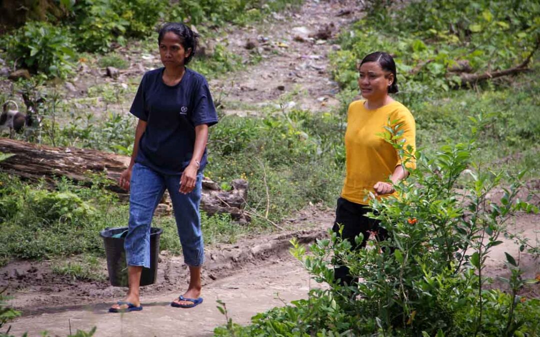 We assess the cases of patients cared for by health workers in the village of Kabanda Sumba Timur