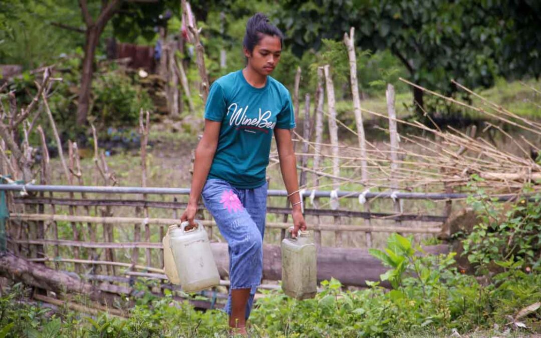 We assess the cases of patients cared for by health workers in the village of Kabanda Sumba Timur