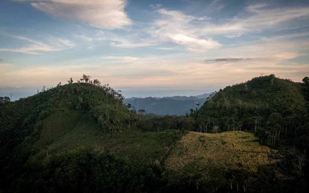 We assess the cases of patients cared for by health workers in the village of Kabanda Sumba Timur