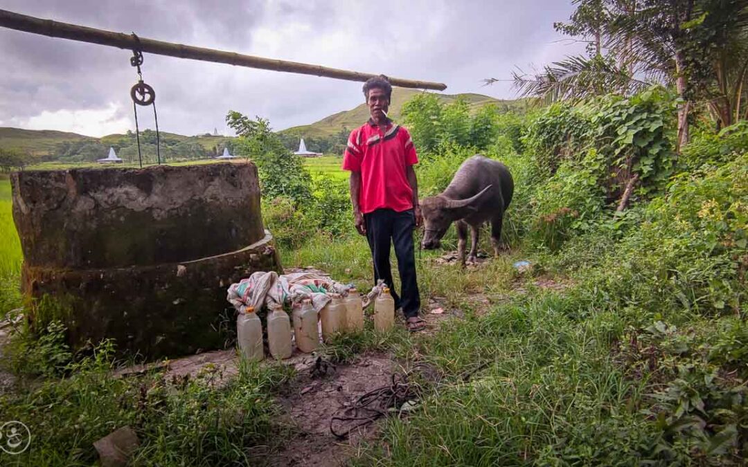 A prayer for water around a well in East Sumba