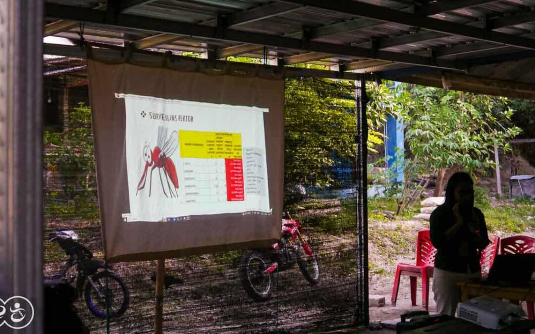 The preparation of a program to combat malaria across an entire territory is essential