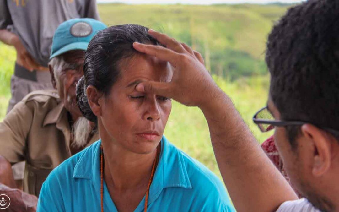 Faces of Resilience Transforming Classrooms into Lifelines