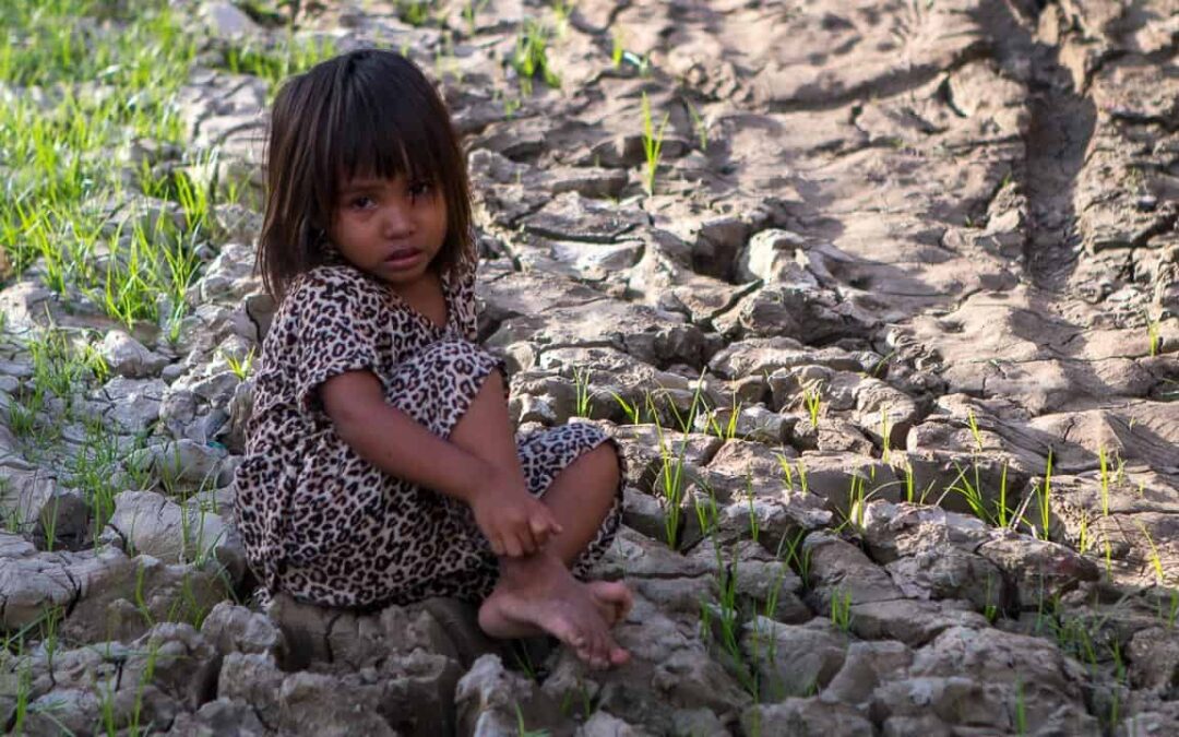 sumba-fieldwork-1280×720-44