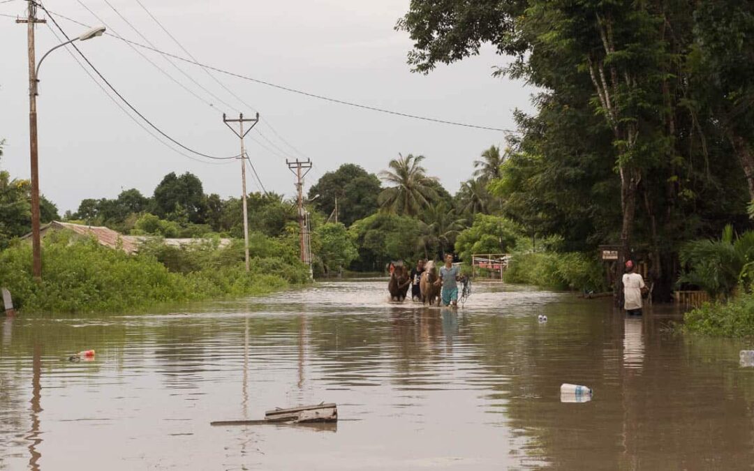 sumba-flooding-1280×720-25